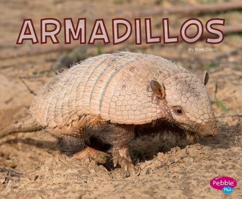 Armadillos by Davin, Rose