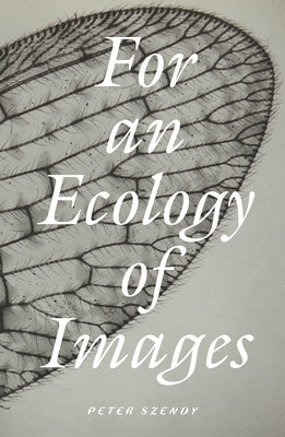 For an Ecology of Images by Szendy, Peter