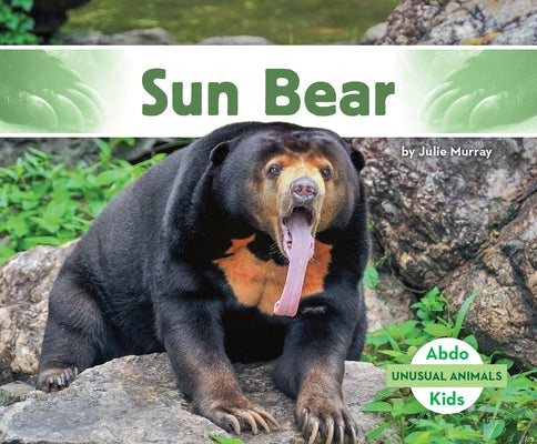 Sun Bear by Murray, Julie