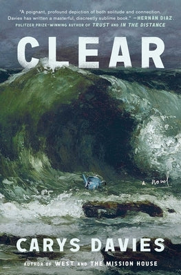 Clear by Davies, Carys