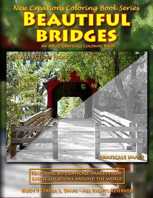 New Creations Coloring Book Series: Beautiful Bridges by Davis, Brad