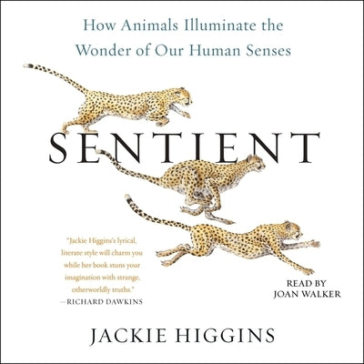 Sentient: How Animals Illuminate the Wonder of Our Human Senses by Higgins, Jackie