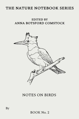 Notes on Birds 2 by Comstock, Anna