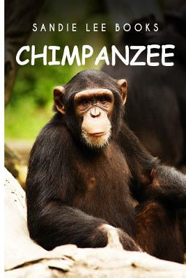 Chimpanzee - Sandie Lee Books by Press, Curious Kids