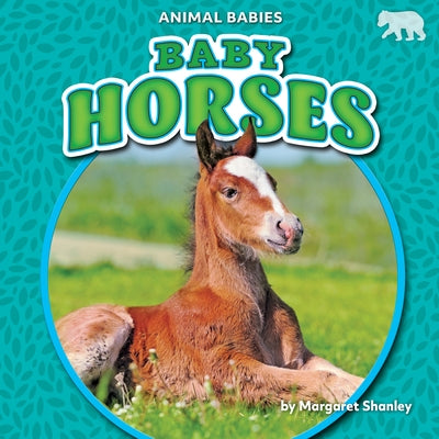 Baby Horses by Shanley, Margaret