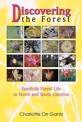 Discovering the Forest: Sandhills Forest Life in North and South Carolina by Gantz, Charlotte Orr