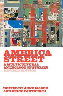 America Street: A Multicultural Anthology of Stories by Mazer, Anne