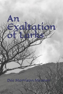 An Exaltation of Larks: Book 3 Crone by Meaney, Dee Morrison