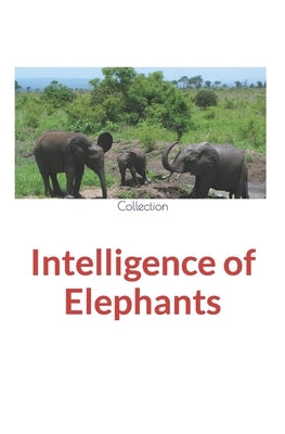 Intelligence of Elephants by Nature and Human Studies