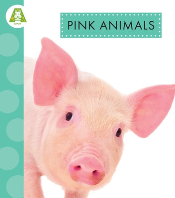 Pink Animals by Golkar, Golriz