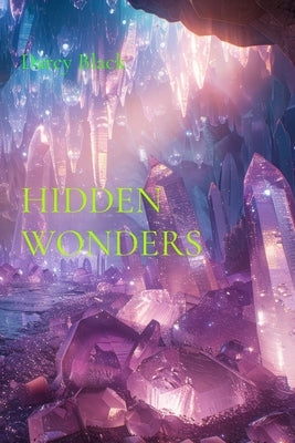 Hidden Wonders: Discovering magic within the mundane by Black, Darcy