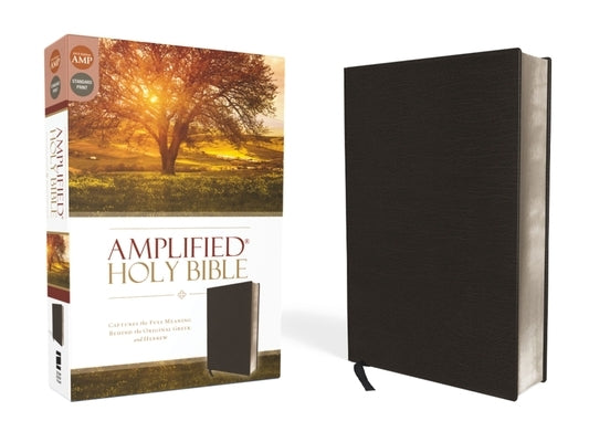 Amplified Bible-Am: Captures the Full Meaning Behind the Original Greek and Hebrew by Zondervan