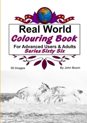 Real World Colouring Books Series 66 by Boom, John