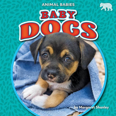 Baby Dogs by Shanley, Margaret