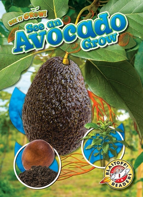 See an Avocado Grow by Chang, Kirsten