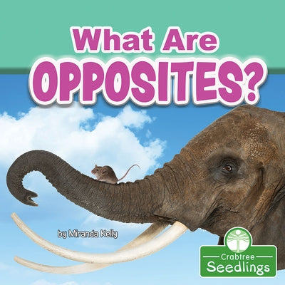 What Are Opposites? by Kelly, Miranda