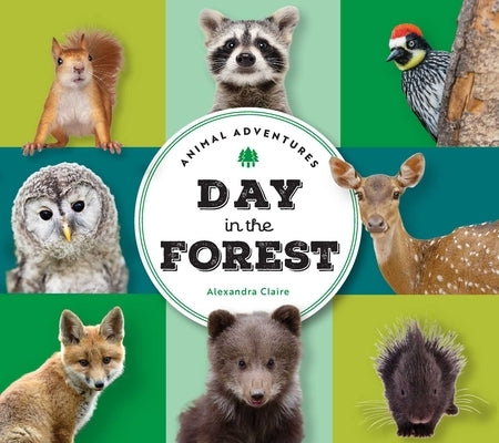 Animal Adventures: Day in the Forest by Claire, Alexandra