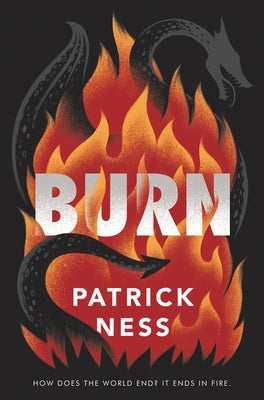 Burn by Ness, Patrick