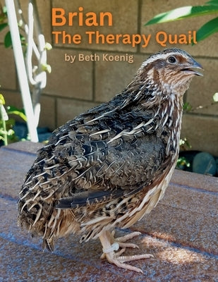 Brian The Therapy Quail by Koenig, Beth