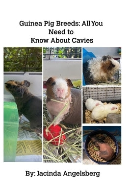 Guinea Pig Breeds: All You Need to Know About Cavies by Angelsberg, Jacinda