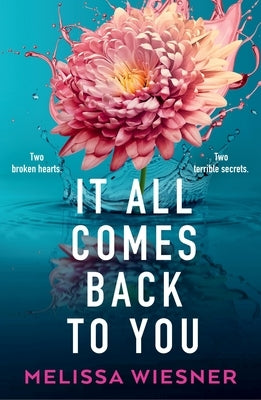 It All Comes Back to You by Wiesner, Melissa