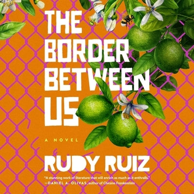 The Border Between Us by Ruiz, Rudy