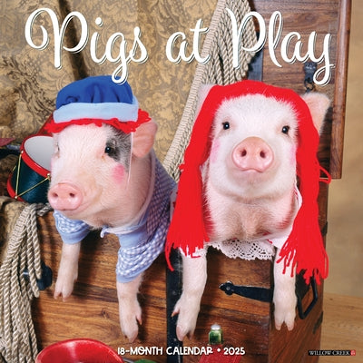 Pigs at Play 12 X 12 Wall Calendar by Willow Creek Press