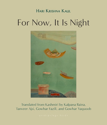 For Now, It Is Night: Stories by Kaul, Hari Krishna