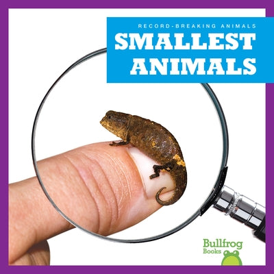 Smallest Animals by Austen, Lily