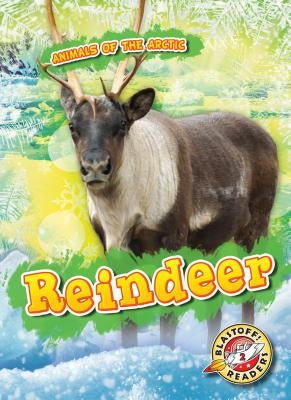 Reindeer by Pettiford, Rebecca