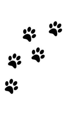 dog paw print Writing Drawing Journal: doggie paw print Writing Drawing Journal. by Huhn, Michael