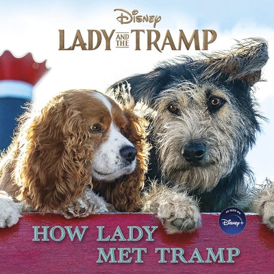 Lady and the Tramp: How Lady Met Tramp by Stephens, Elle