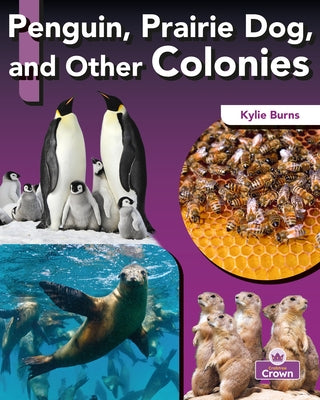 Penguin, Prairie Dog, and Other Colonies by Burns, Kylie