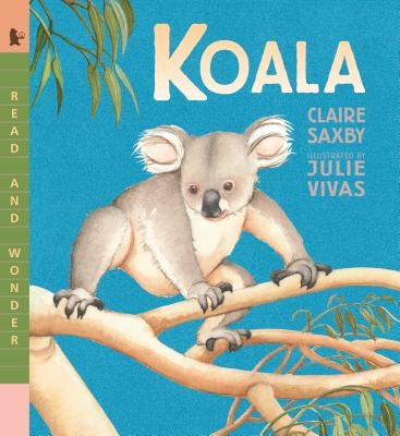 Koala by Saxby, Claire