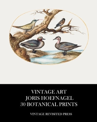 Vintage Art: Joris Hoefnagel 30 Botanical Prints by Press, Vintage Revisited