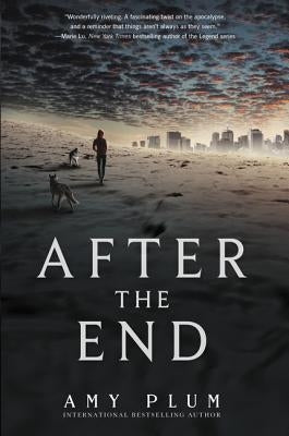 After the End by Plum, Amy