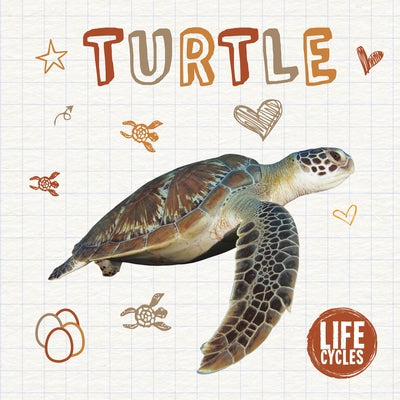 Turtle by Brinded, Alex