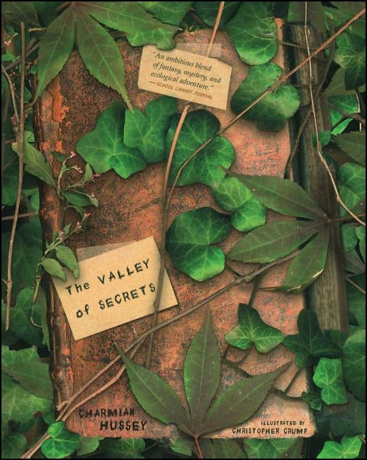 The Valley of Secrets by Hussey, Charmian