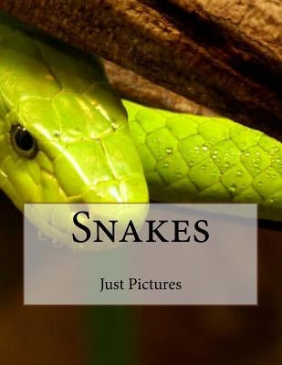 Snakes by Pictures, Just