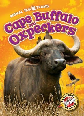 Cape Buffalo and Oxpeckers by Schuetz, Kari