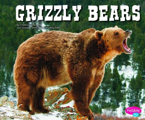 Grizzly Bears by Kolpin, Molly