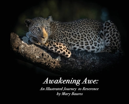 Awakening Awe: An Illustrated Journey to Reverence by Baures, Mary