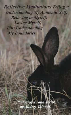 Reflective Meditations Trilogy: Understanding My Authentic Self, Believing in Myself, Loving Myself, Plus Understanding My Boundaries by Tait, Audrey