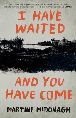 I Have Waited, and You Have Come by McDonagh, Martine