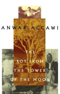 The Boy from the Tower of the Moon by Accawi, Anwar