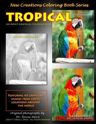 New Creations Coloring Book Series: Tropical by Davis, Brad