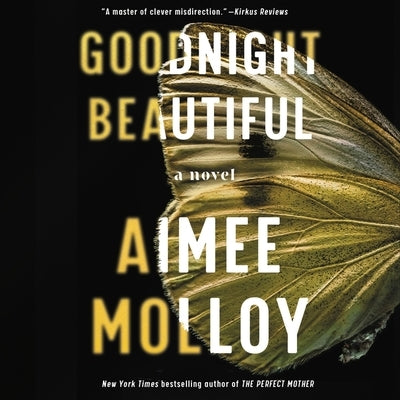 Goodnight Beautiful by Molloy, Aimee