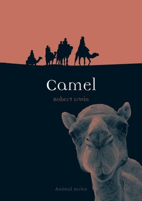 Camel by Irwin, Robert