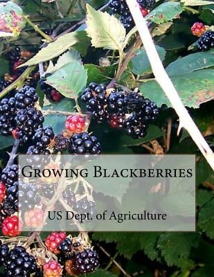 Growing Blackberries by Chambers, Roger