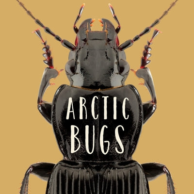 Arctic Bugs: English Edition by Inhabit Education